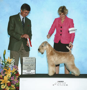 GCH Lovesong's Affair With Jazz